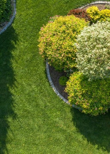 Marietta Landscaper Near Me | Osmin's Landscaping Marietta-Landscaper-Near-Me