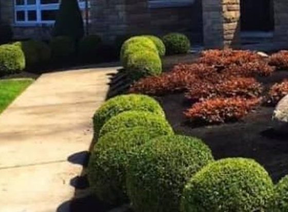 Marietta-Landscaper-Near-Me-Now-01_8 Marietta-Landscaper-Near-Me-Now-01_8