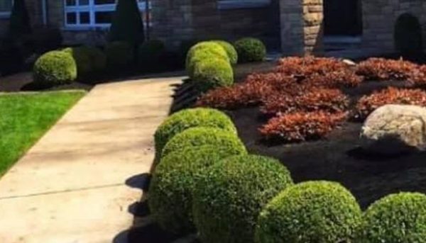 Marietta-Landscaper-Near-Me-Now-01_8